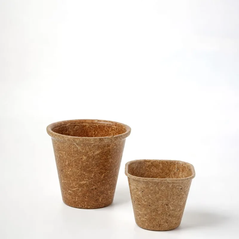120 ML biodegradable cup — angle view