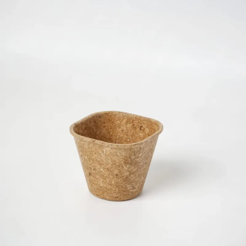 120 ML biodegradable cup — side profile