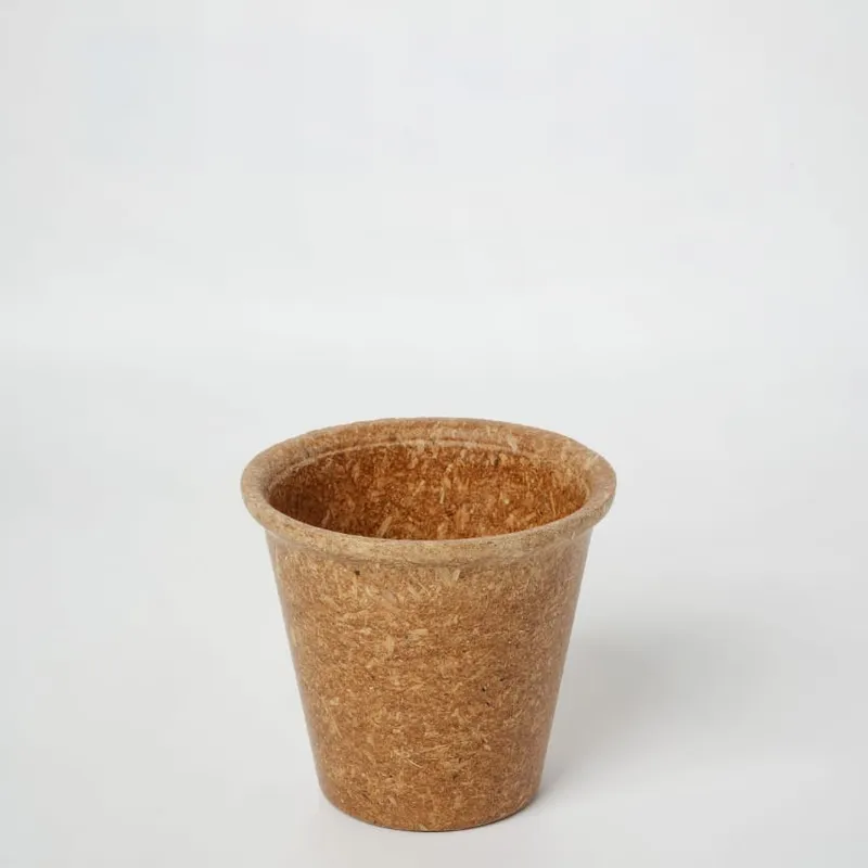 250 ML biodegradable cup — angle view
