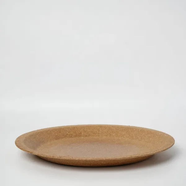 10-inch round biodegradable plate — top view