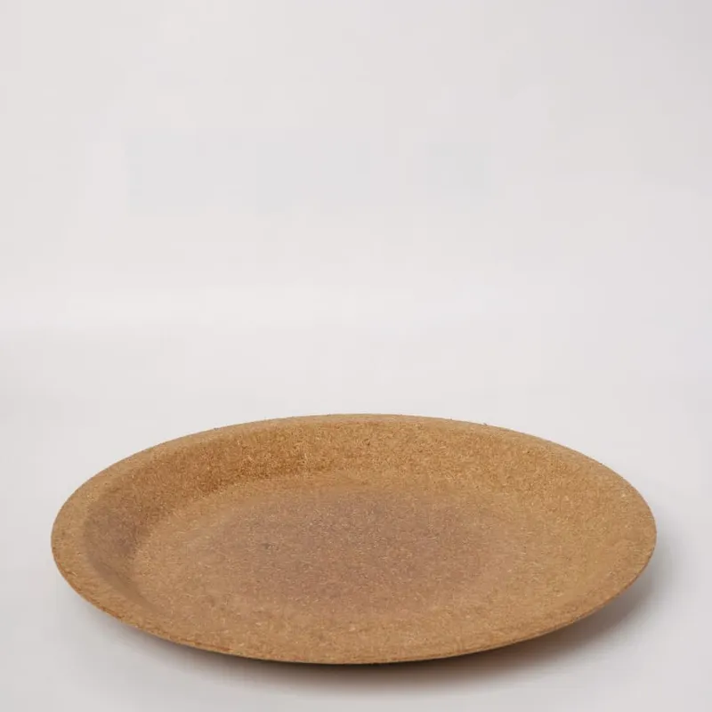10-inch round biodegradable plate — angle view